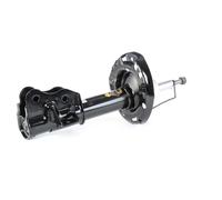 ASHIKA Jambe de suspension Amortisseur pour HONDA CIVIC VIII Hatchback (FN, FK)