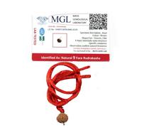 ASHIRWAD Chapelet Mala Rudraksha Mala naturel authentique de l'Himalaya certifié népalais - Collier tibétain à porter et mala Japa 5 Mukhi Mala, 108 perles mala | AE000146-00, 6mm-10mm, Rudraksha, Pas