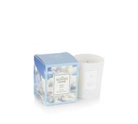 ASHLEIGH & BURWOOD Bougie en Pot parfumée au Lin Frais jusqu'à 14 Heures pour Le votif Miniature