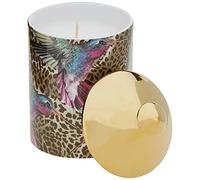 Ashleigh & Burwood Wild Things Bougie parfumée de luxe 320 g - Léopard bourdonnement - Framboise noire