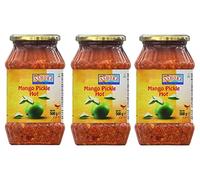 Ashoka Mango Pickle Hot Lot de 3 condiments d'accompagnement pour tout plat indien 500 g