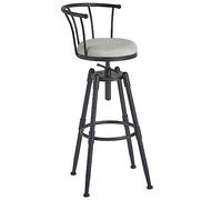 ASHSDI Chaises Hautes Tabouret De Bar Industriel avec Tabouret De Bar en Métal Arrière, Chaise De Bar Pivotante À Hauteur Réglable avec Repose-Pieds Tabourets de Bar Cuisine Salon Bar(B)