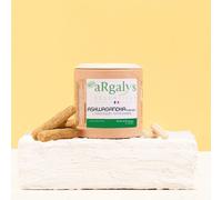 Ashwagandha + magnésium et tryptophane