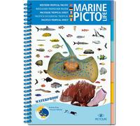 Asian pacific marine pictolife Pacifique Asiatique, Edition multilingue anglais-allemand-français-espagnol-italien - Antoine Dray - Pictolife - broché - Guide