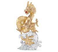 Asian Symbols Dragon OS