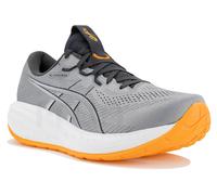 Asics Gel-Cumulus 28 Gris/argent 44.5