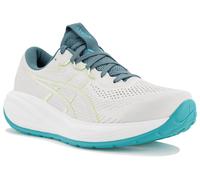 Asics Gel-Cumulus 28 Gris/argent 44.5