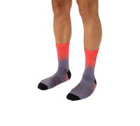ASICS Performance Run Crew Socks Unisexe 35-38