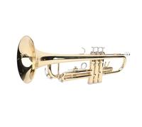 Asixxsix BB Cornet, Kit de Corne en Laiton avec Boîtier de Transport, Gants, Chiffon de Nettoyage et Pinceaux, Instrument de Musique pour les Professionnels des Débutants Pratique et