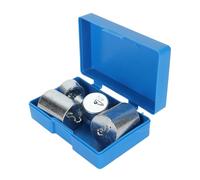 Asixxsix Ensemble de Poids à Double Crochet, Poids à Crochet Scientifique en Acier chromé, Ensemble de à Double avec étui de Rangement pour les Travaux de Laboratoire de Physique Scientifique Générale