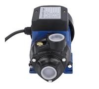 Asixxsix Pompe solaire pour puits, 230 W, hauteur de refoulement 25 m, double roulement à billes, pompe d'irrigation submersible en fonte, pour l'irrigation des pelouses de jardin