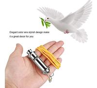 Asixxsix Sifflet Ultrasonique D'entraînement en Acier Inoxydable, pour Le Contrôle du Comportement des Amoureux des Oiseaux, Mini Sifflet en Acier Inoxydable pour Les Propriétaires