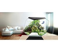 Askoll 280670 Nexus 5C Beta Life Noir