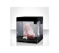 ASKOLL Aa350002 Aquarium Pure Absoluteblack, S, Noir