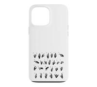 ASL Langue des Signes américaine, Alphabet inclusif Signe ABC Coque pour iPhone 13 Pro Max