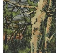 Anomoanon - Asleep many years in the wood
