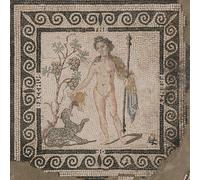 The Frenzy of Bacchus