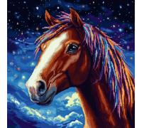 ASONGLINGO Kit Crochet De Verrouillage Tapis Diy Broderie Pour, Kit Tapis Point Noué À Faire Pour Débutants, Latch Hook Canevas Coussin Point 43X43Cm(Cheval animal et ciel étoilé)