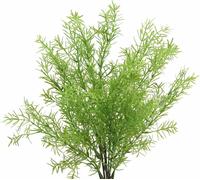 Asperge artificielle décorative Asparagus avec tige ramifiée pour la décoration