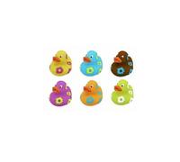 Aspergeurs Canards Fleurs 6pcs Vert