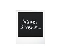 Aspirateur balai Bosch BBHF214R 2 en 1 14,4 V 400 ml Rouge