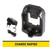 Aspirateur balai ZANUSSI RVCZ20-GR