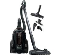 Aspirateur sans sac ELECTROLUX Pure C9 PC91-Green