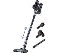 Aspirateur vertical 22.2 V CONCEPT VP6040