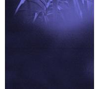 Asra – Nocturnal Journey – Vinyle – Membran