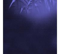 ASRA - Nocturnal Journey