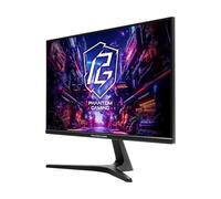 Asrock PG25FFT Computerbildschirm 62,2 cm (24.5") 1920 x 1080 Pixel Full HD Schwarz (PG25FFT)