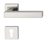 Assa Abloy Poignée de porte sur rosace cylindre profilé, pour épaisseur 32-45 mm, acier inoxydable mat, H419 RG8 PZ 699114