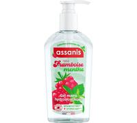 Assanis Gel Hydroalcoolique Framboise Menthe 250ml
