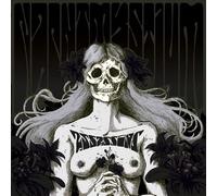Assassins - Black Meddle Pt. I