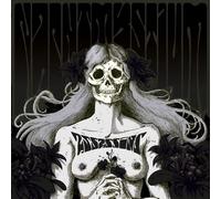 Assassins - Black Meddle Pt. I