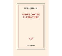 Assaut contre la frontière