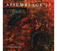 Assemblage 23 - Addendum