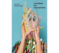Assemblage And Appropriation: Found Objects, Recycled Materials, And The Narrative Potential Of Installation Paperback Book By Aanyael Meadowlight