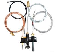 Assemblage pilote de gaz naturel, 1 ensemble pour allumage de cheminée avec thermocouple et fil d'allumage en métal pour une performance de chauffage fiable et les utilisateurs de bricolage