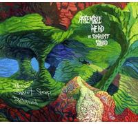 Assemble Heads in Sunburs - When Sweet Sleep Returned [Import]