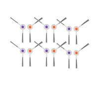 Assemblée Brosse latérale compatible avec Narwal K1 / J3 / J4 / Freo X Plus/Freo X Ultra / J4 Lite/Freo Z Ultra Pièces détachées pour aspirateurs(12 Pcs)