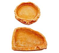 Assiette à reptiles, bol d'eau pour crabe ermite, lot de 2 plateaux d'alimentation pour reptiles en résine, accessoire pour réservoir, bols d'eau pour reptiles, plateau d'alimentation paire