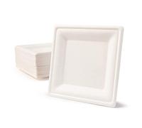 Assiette Carrée Biodégradable Ok Compost | Fibre de Canne | Lot de 50 Assiettes Plates Ecologiques | Plats Chauds et Froids (26x26 cm)