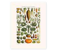 Assiette de légumes anciens Poster de Patruschka 70 x 90 cm Vert Tableaux Décoration murale