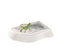 Assiette de trempage des tortues, d'eau de tortue | d'eau de tortue à eau reptile | L'alimentation des reptiles et la d'eau empêchent efficacement le glissement et les chut