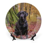 Assiette décorative de 20 cm (8 pouces) représentant un chien d'automne, en céramique ronde, avec support. Assiette moderne en porcelaine à suspendre au mur. Décoration idéale pour la maison ou le b
