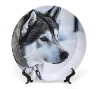 Assiette décorative ronde en céramique de 18 cm (7 pouces) représentant un husky ou un loup. Socle inclus. Assiette moderne en porcelaine à suspendre au mur. Décoration idéale pour la maison ou le b