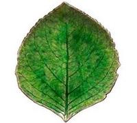 Assiette Hortensia Feuille 17,2 x 15 cm Riviera x 6 Costa Nova