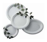 Assiette blanche - lot de 50