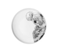 Assiette Koala - 20cm - Marini Ferlazzo Maxwell & Williams